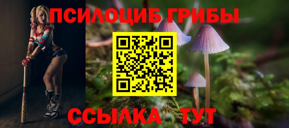 где найти   Галлюциногенные грибы Magic Shrooms  Вход с VPN  Рассказово 